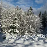 Waldhotel 