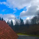 Waldhotel 