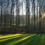 Waldhotel 