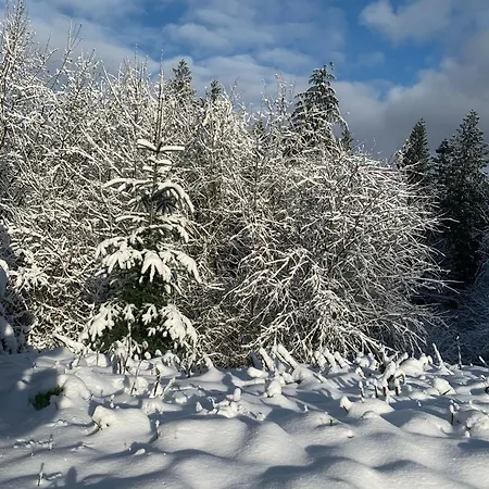 Waldhotel 