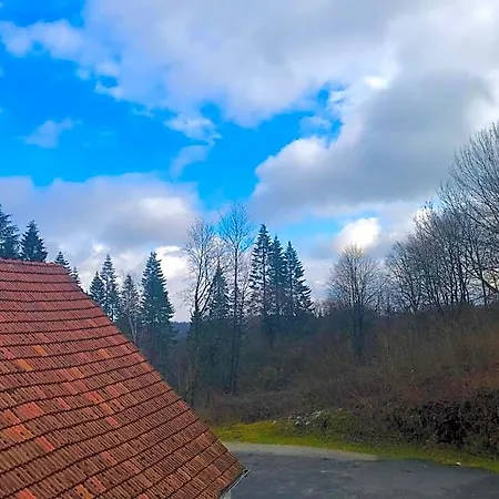 Waldhotel 