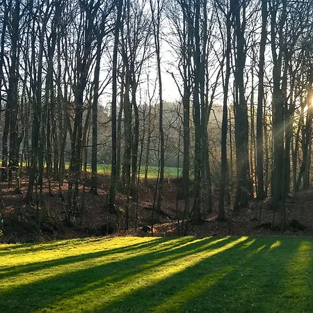 Waldhotel 