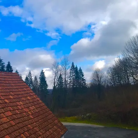 Waldhotel 