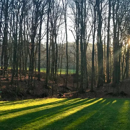 Waldhotel 