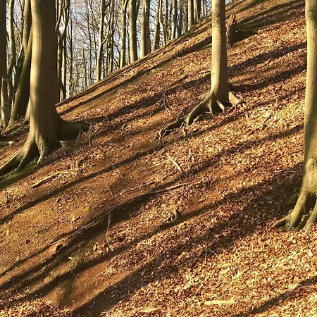 Waldhotel 