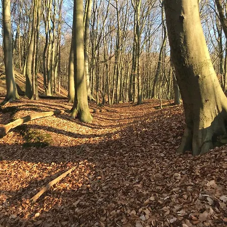 Waldhotel 