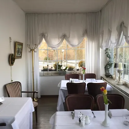 Otel Waldhotel 